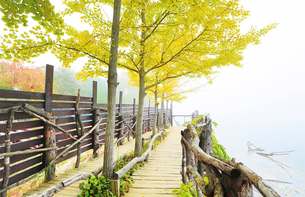 Đảo Nami mùa thu